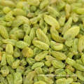 Xinjiang turpan seedless green raisins for sale
